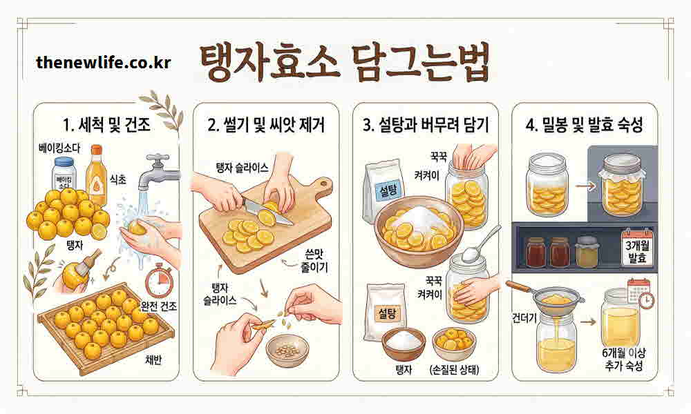 탱자효소 담그는법