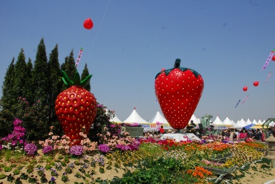 논산 딸기축제