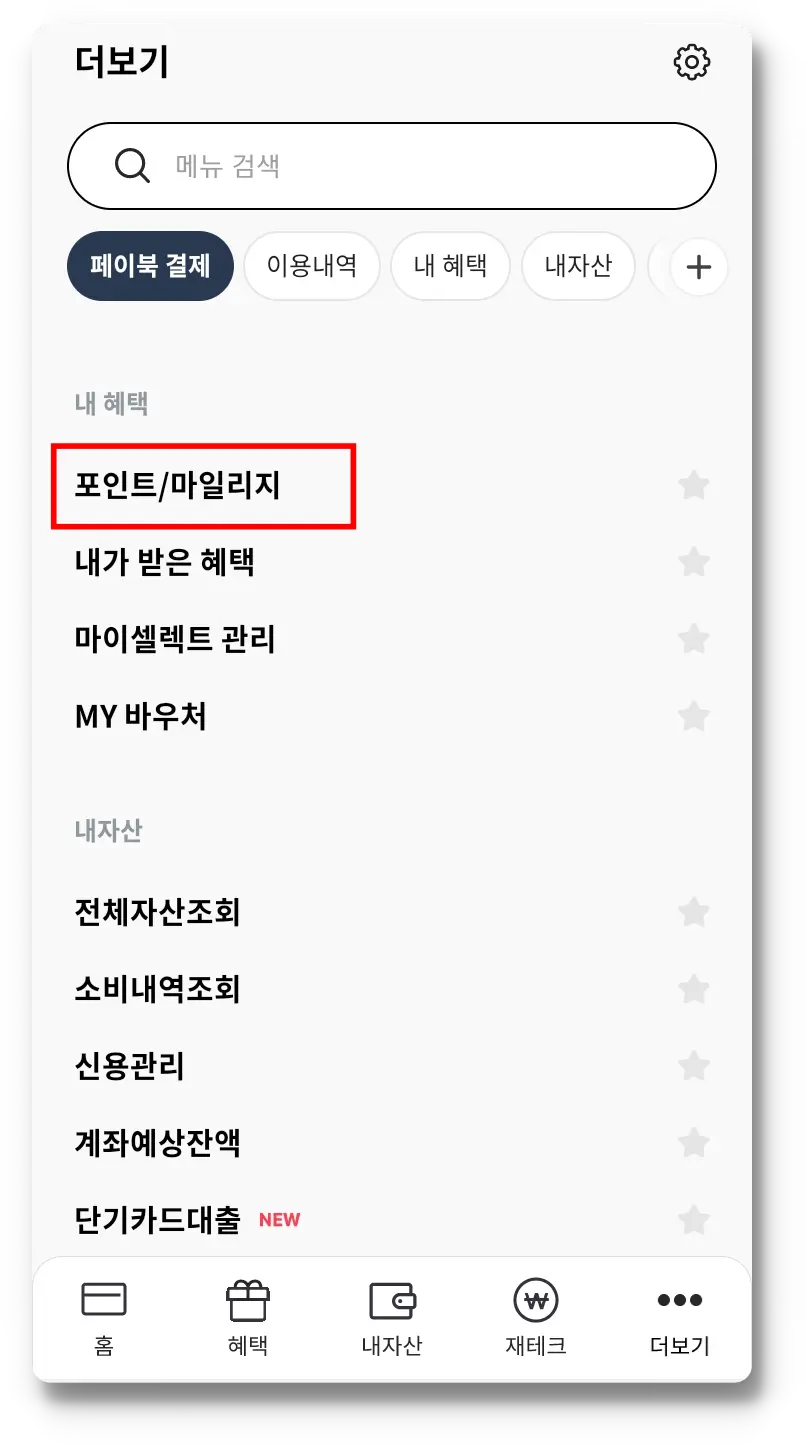 포인트/마일리지 조회