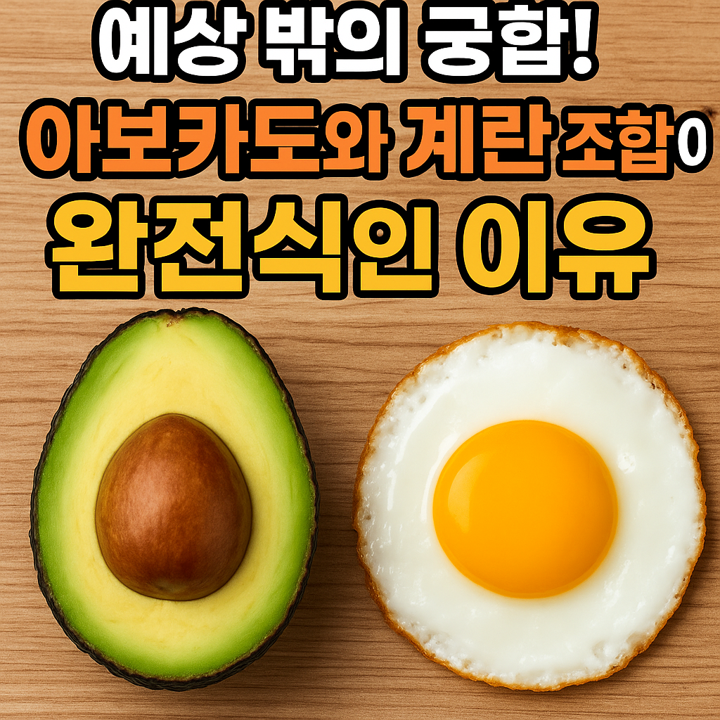 아보카도와 계란