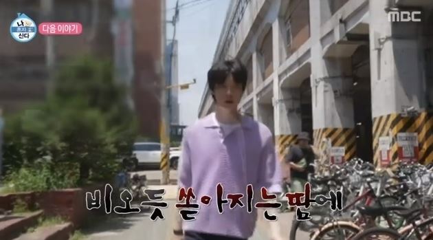 안재현 나혼산 고양이 반려묘 안주 일상 근황