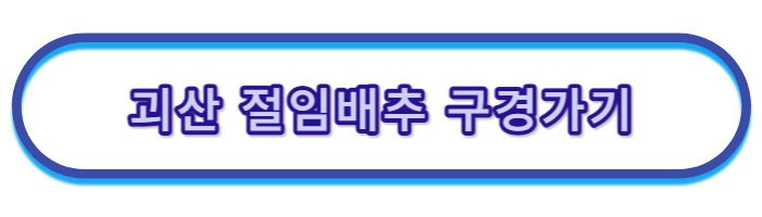절임배추-20kg