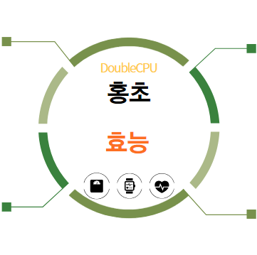 홍초 효능
