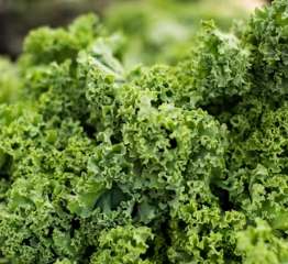 칼슘 하루 권장량 성인 1일 섭취방법