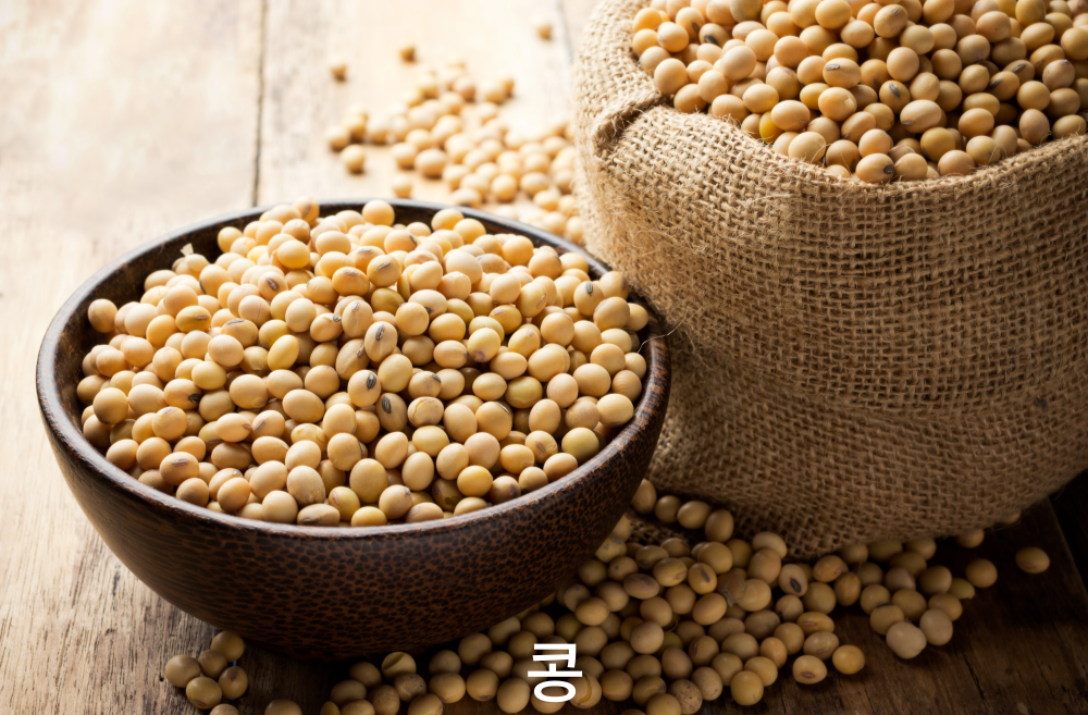 콩의효능과 암환자에게 도움을 주는 콩