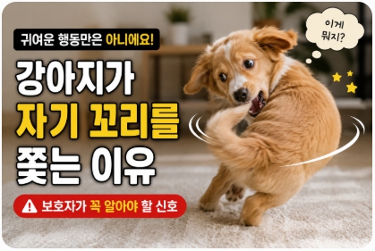 강아지 행동 분석을 설명하는 이미지