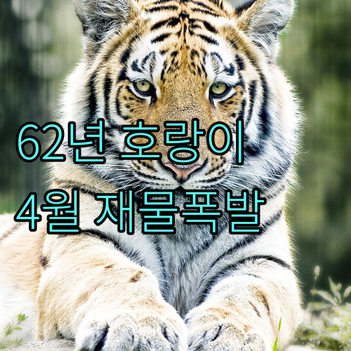 1962년생 호랑이띠를 위한 2026..