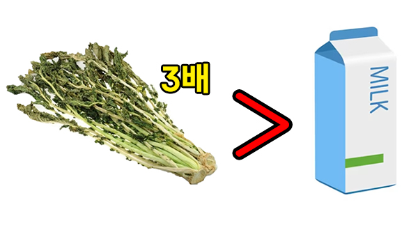 시래기효능
