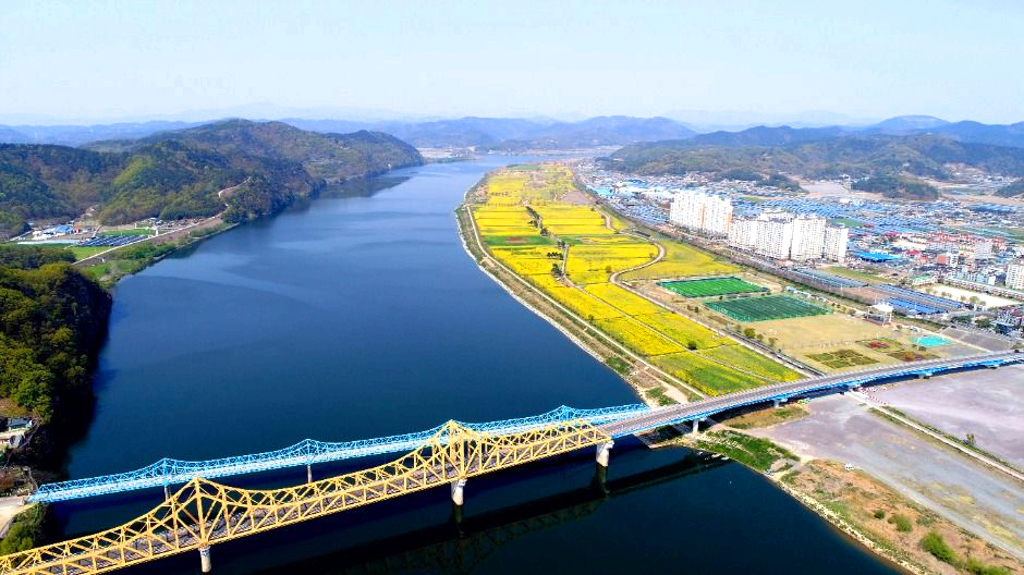 창녕 낙동강유채축제