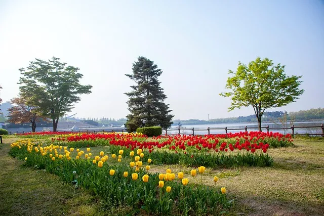 일산 가볼만한곳 베스트10 숨겨진 명소_7