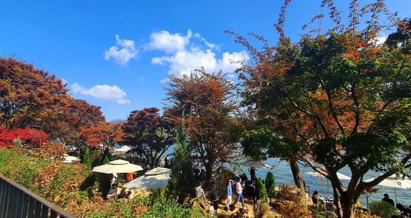 대너리스-카페-정원