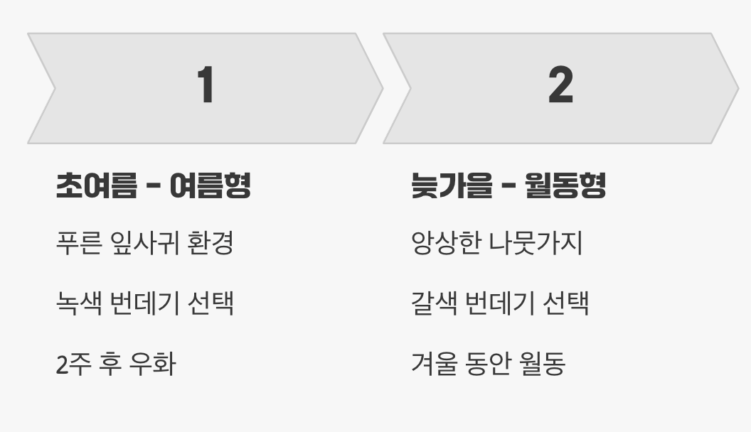 계절에 따른 지혜로운 선택