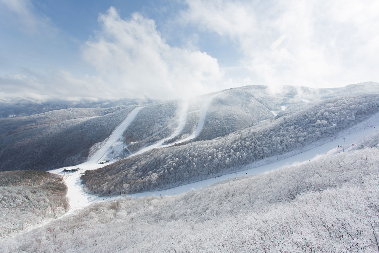 하이원 리조트 스키장