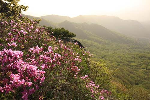 경남 합천 - 황매산