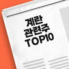 계란 관련주 TOP10