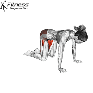 출처: https://fitnessprogramer.com/exercise/frog-pose/