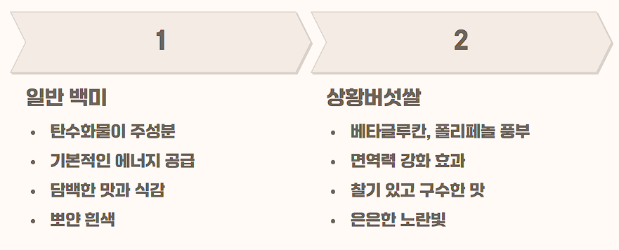 상황버섯 쌀 효능 가격 밥 짓는 법