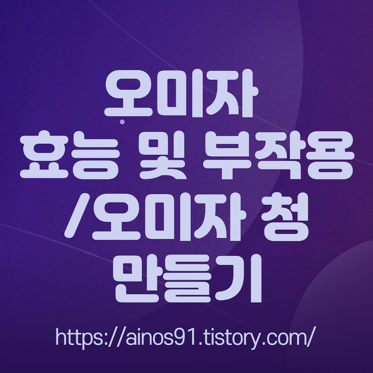 오미자 효능 및 부작용 오미자 청 만들기