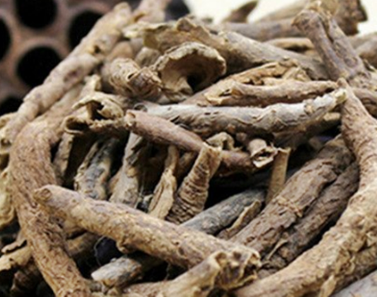 오가피효능,오가피열매효능,가시오가피주,가시오가피효능,가시오가피,오가피