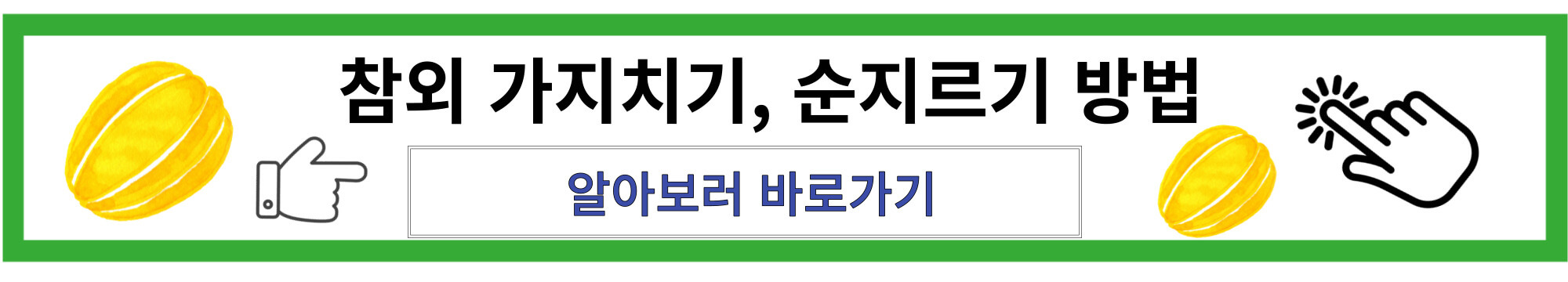 참외 가지치기 순지르기 방법