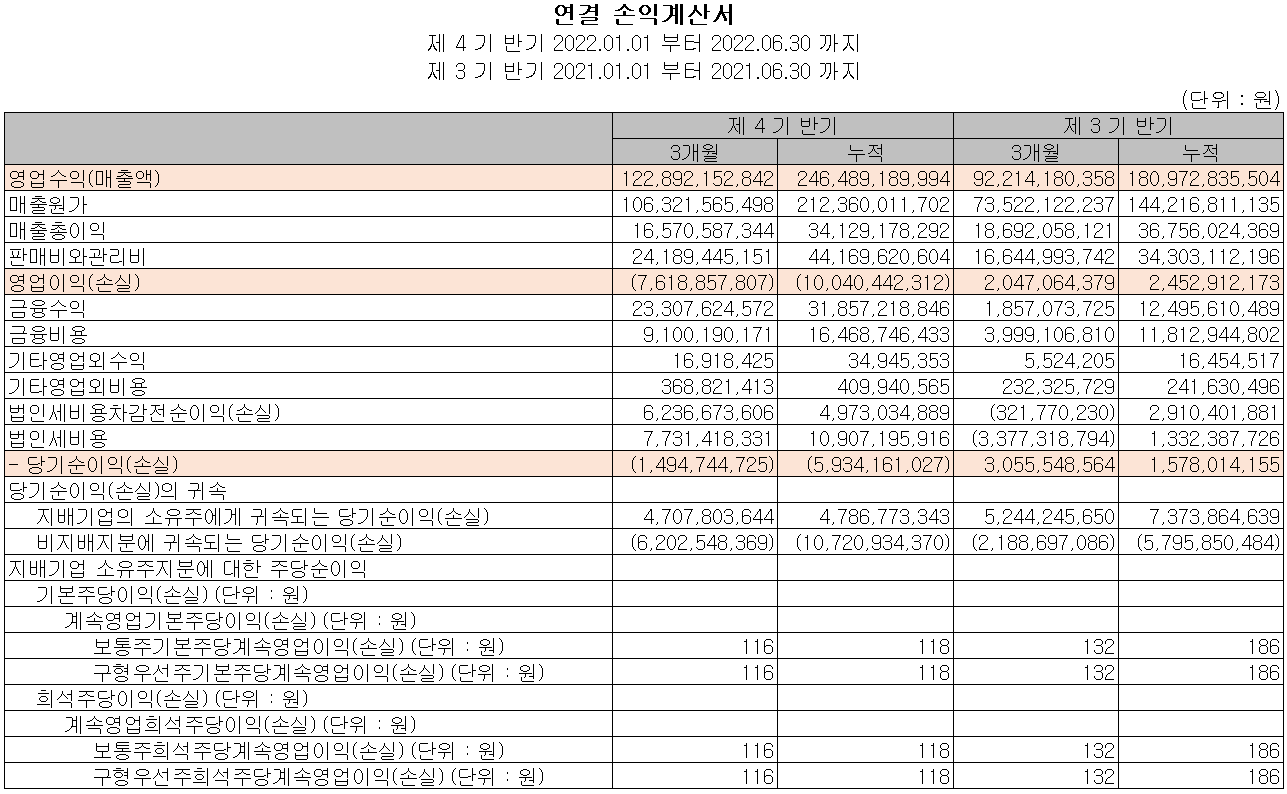 솔루스첨단소재 - 손익계산서