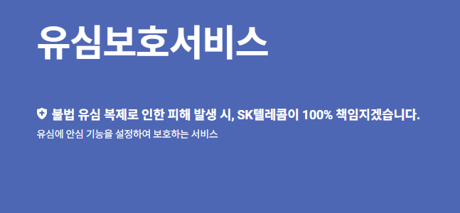 USIM 카드란 뜻과 보호서비스 가입 방법