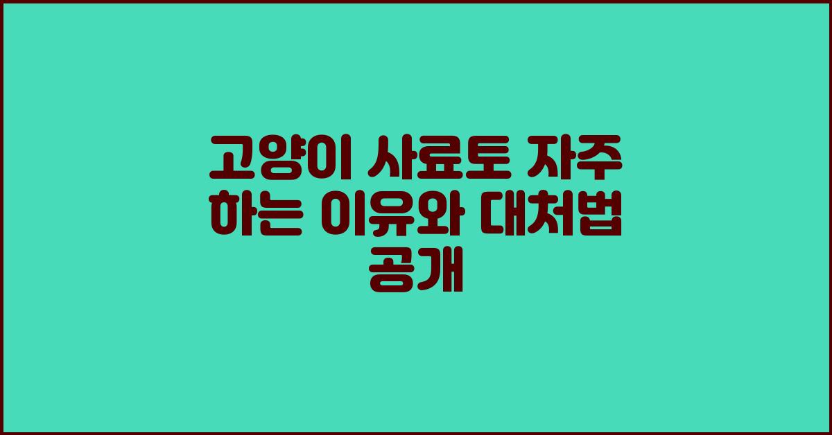 고양이 사료토