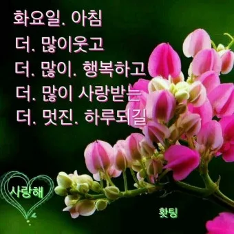화요일 아침 인사말 좋은 글 9월 가을 이미지들_15