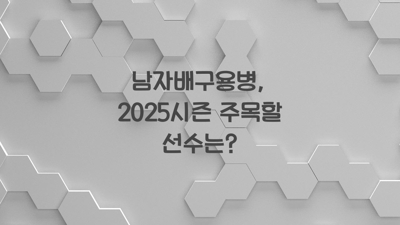 남자배구용병