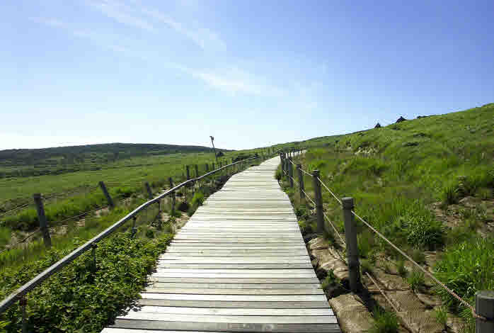 한국 영화 속 제주도 풍경