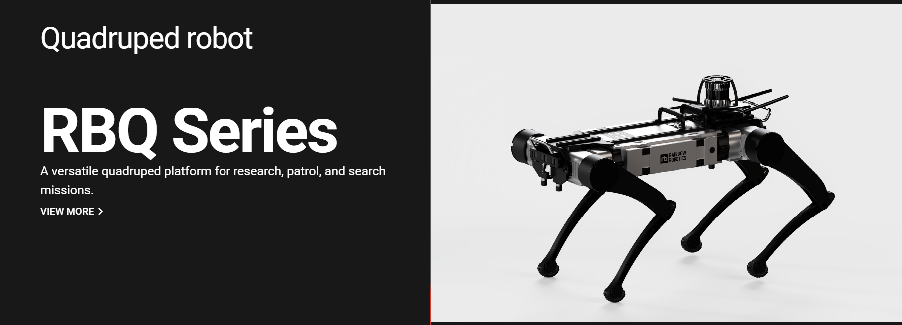 레인보우로보틱스