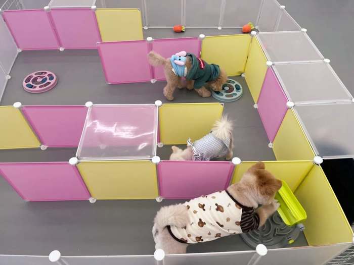 생생정보 틈새 알바 이거 어때