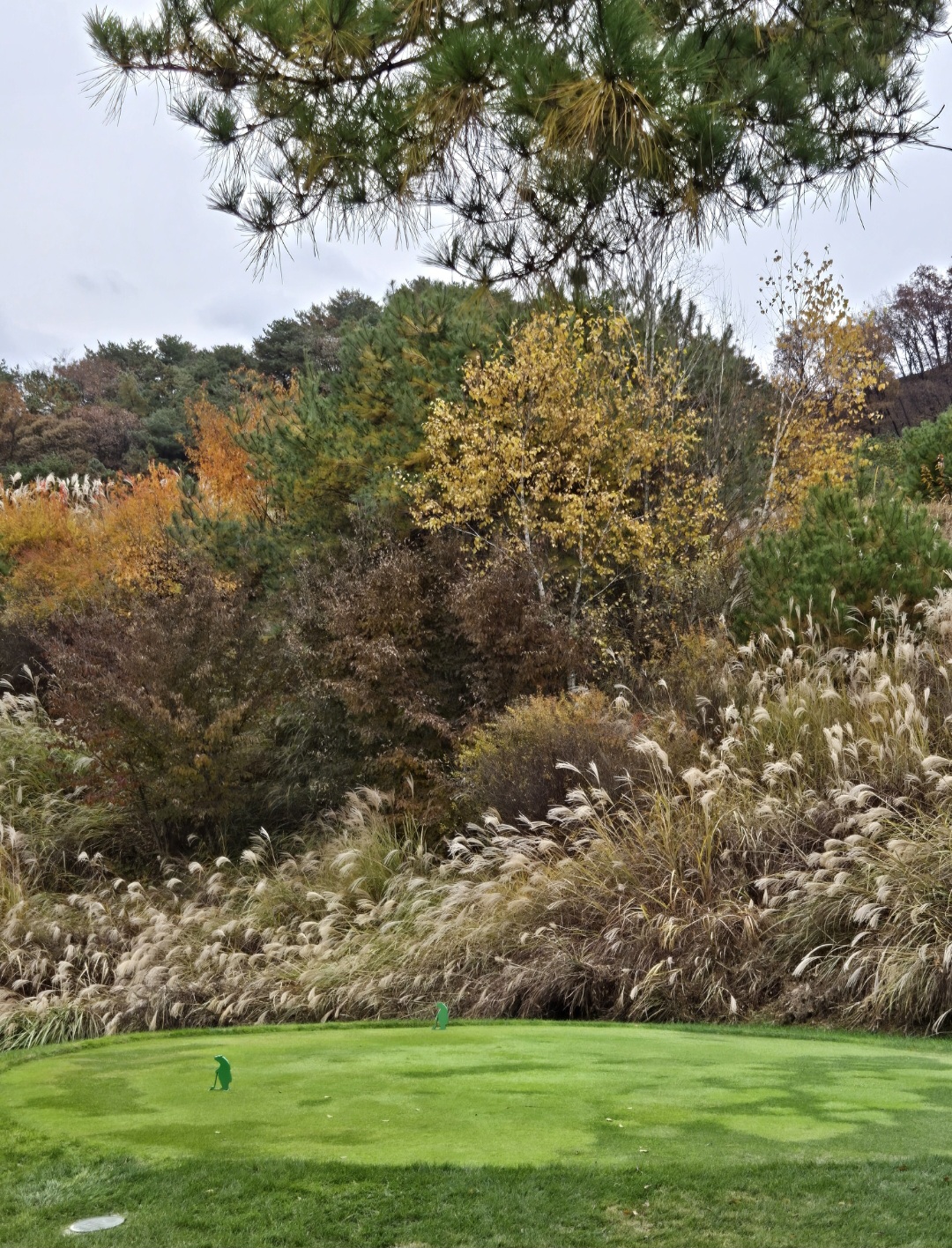 갈대뷰의 티잉그라운드