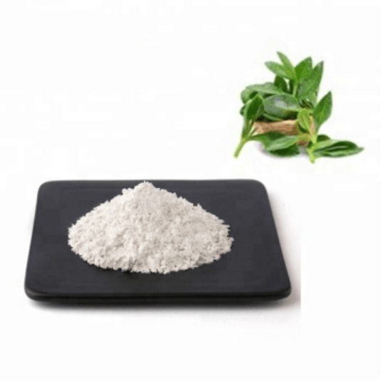 천심련-추출물-파렉틴-파랙틴-분말-가루-사진