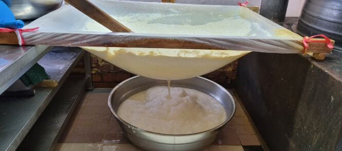 초당토박이할머니순두부