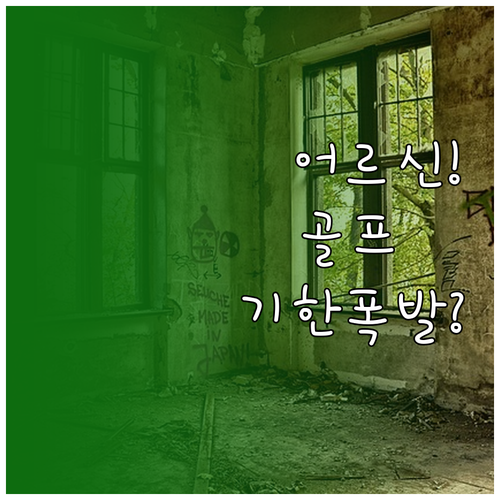2026 어르신 스포츠 상품권 골프 ..