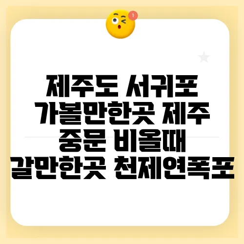 제주도 서귀포 가볼만한곳 제주 중문 비올때 갈만한곳 천제연폭포