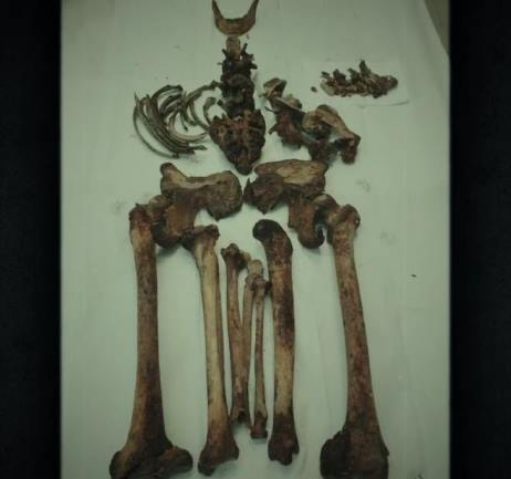 홍범도의 유해 2