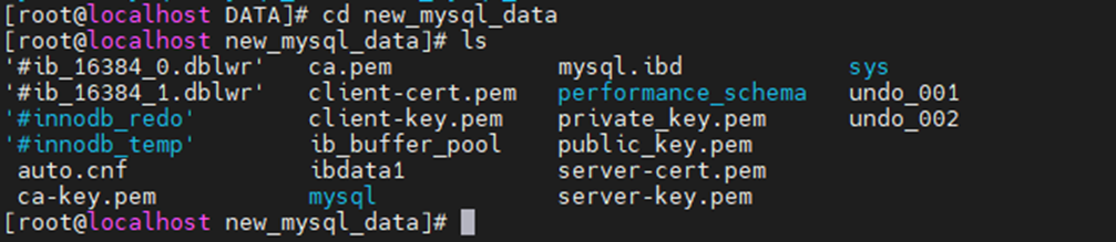 데이터 디렉토리 초기화 결과 화면