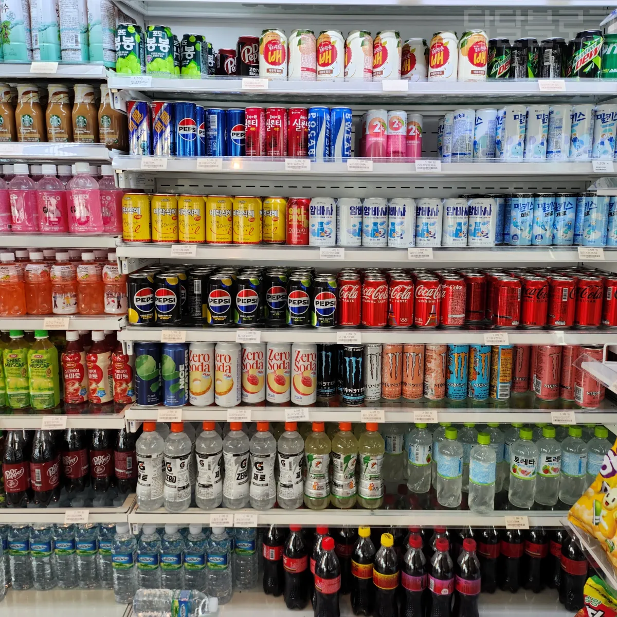 정선-파크로쉬-지에스-편의점-라면