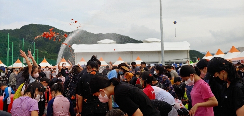 제13회 둔내고랭지 토마토 축제 기본일정과 프로그램 정리 홍진영 나태주 문희옥 영기 강설민 윤수현 박현빈 김완준 설하수 안지완 출연