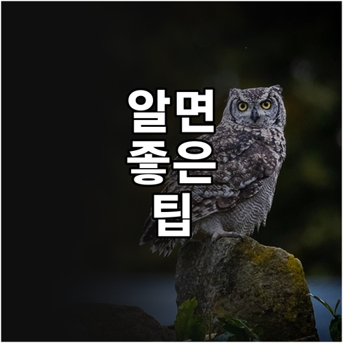 소상공인, 시민 모두 윈윈 2025 ..