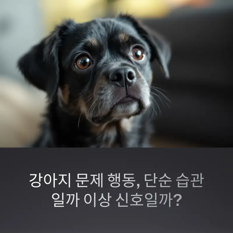 걱정스러운 표정의 반려견, 문제 행동이 단순 습관인지 이상 신호인지 고민하는 보호자의 시선
