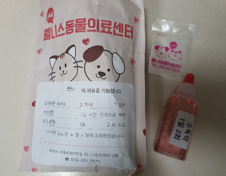 강아지약 일주일치