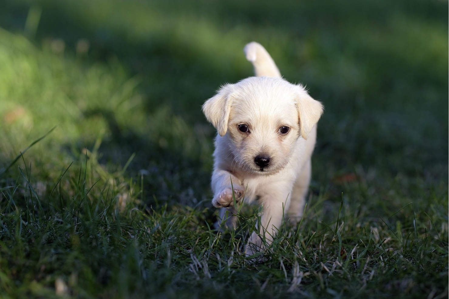 국제 무역 조건과 본선인도가격의 개념 및 활용