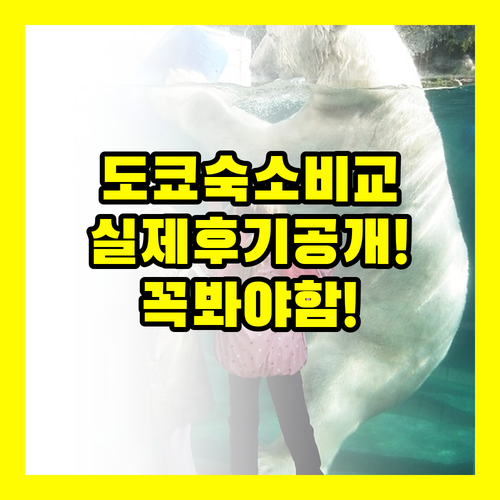 도쿄 호텔 3곳 실제 후기로 바로 비..