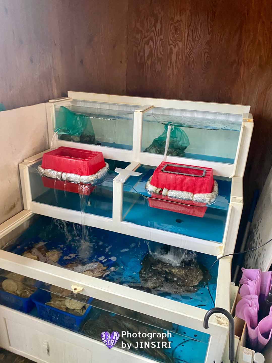 김포 고촌 풍무 중국집 짬뽕 해물전골 맛집