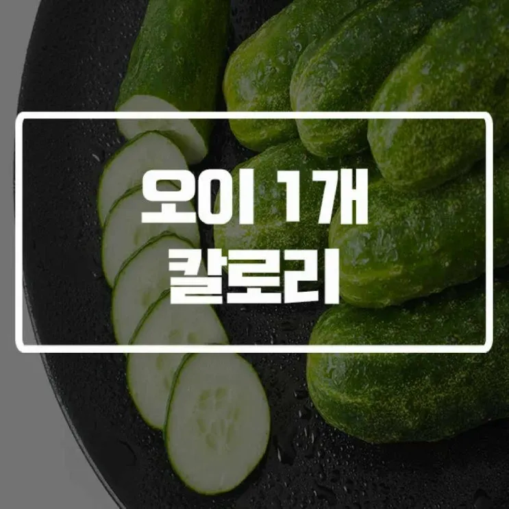 gg_오이 칼로리_16