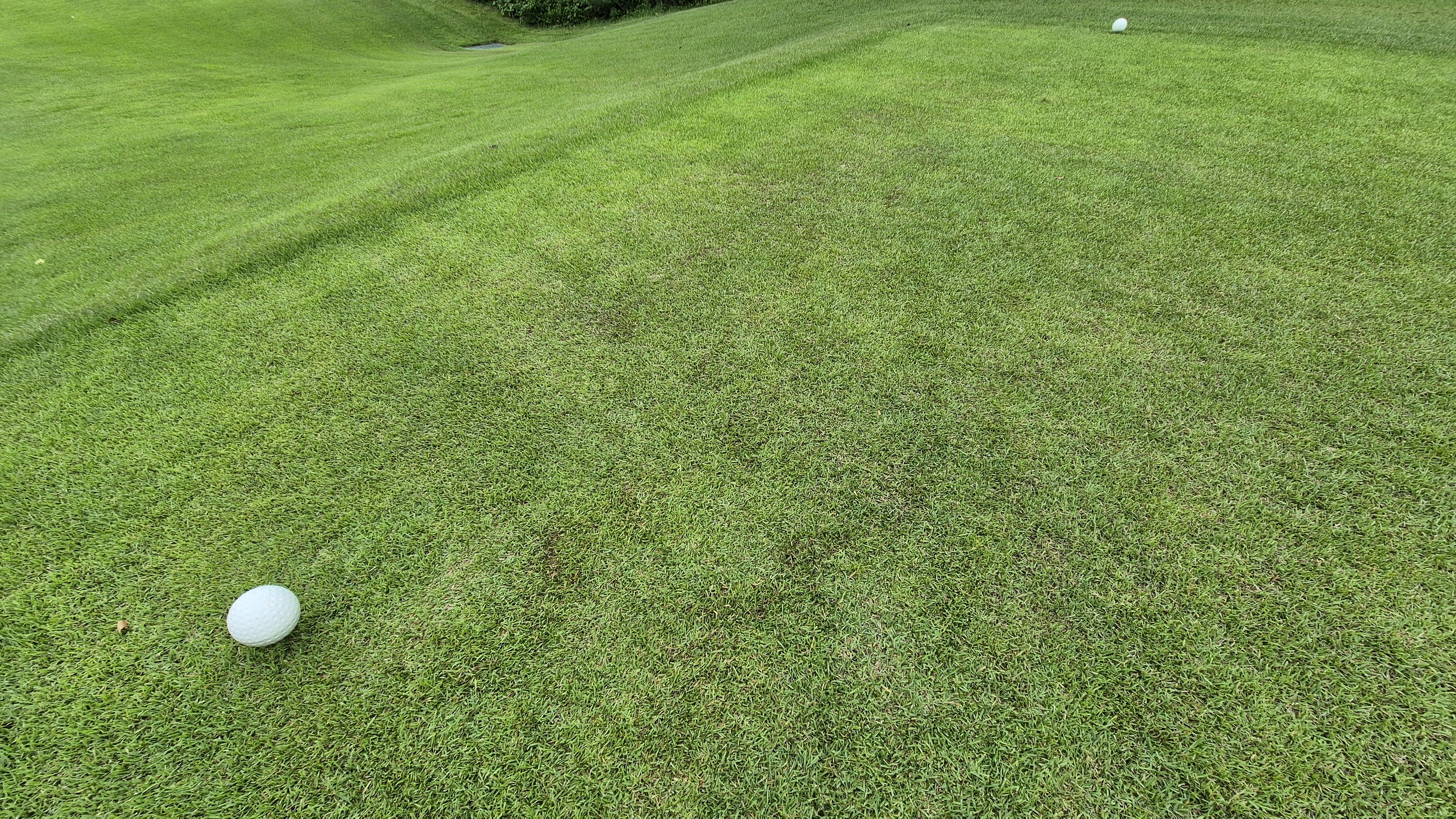 뉴서울cc 예술in-문화in 코스 라운드 후기