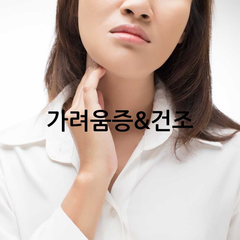 신장에좋은영양제